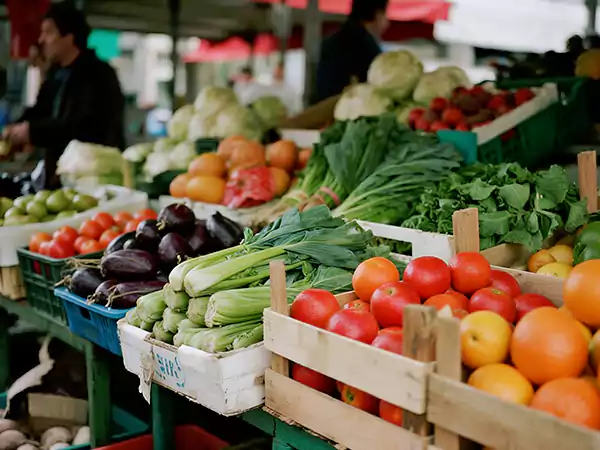 How to Start a Food Packaging Business(3)